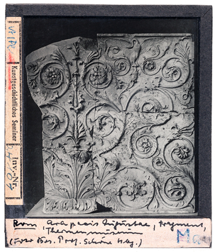 Vorschaubild Rom: Thermenmuseum, Ara Pacis, Akanthusfragment 